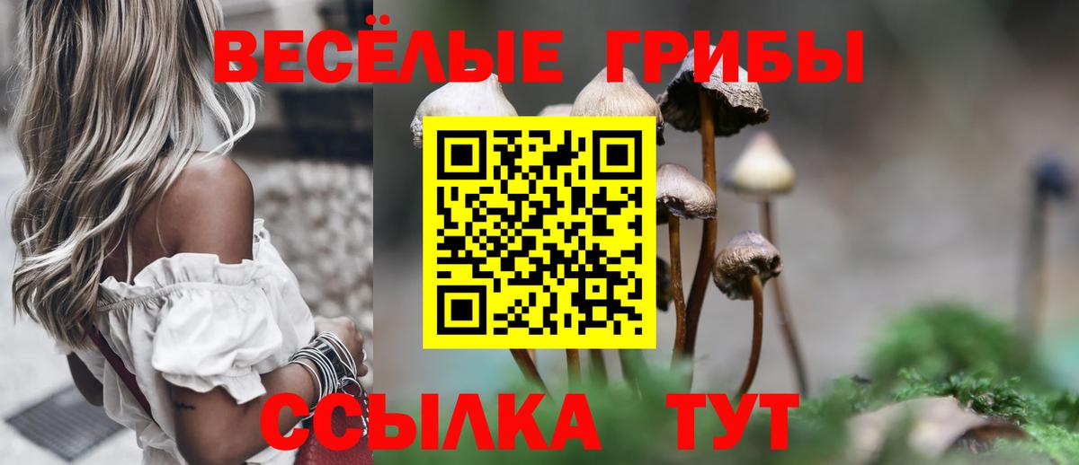 Киров  где можно купить наркотик  Галлюциногенные грибы GOLDEN TEACHER  Вход с VPN  Галлюциногенные грибы мицелий 