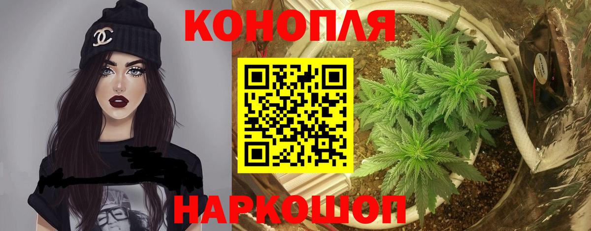 МАРИХУАНА Amnesia  Бошки Шишки THC 21%  Киров  Вход с VPN 